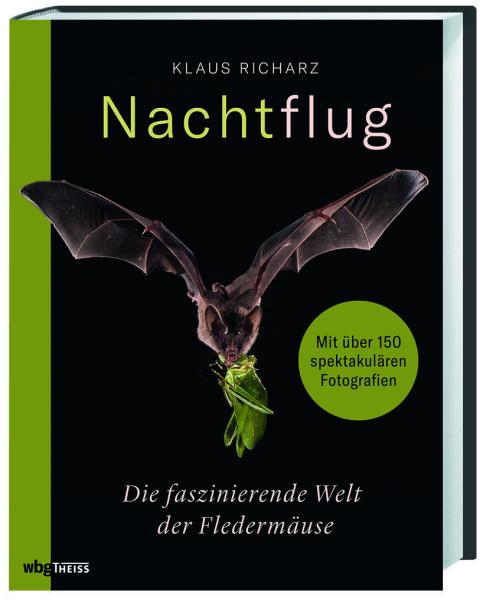 Nachtflug - Titelbild